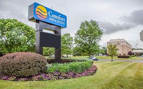 Comfort Inn & Suites Somerset